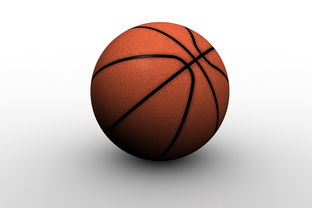 乐鱼体育app官方登录入口-中国篮球职业俱乐部青训人才培养路径探索，篮球青训队招聘条件