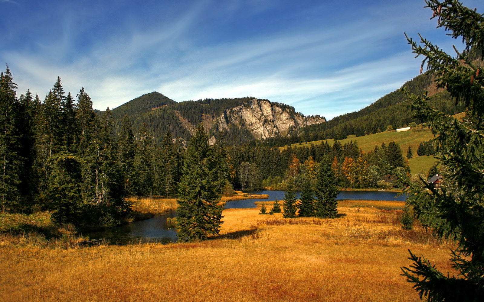 乐鱼注册-训练场地升级引入柔性抗震材料，训练场地升级引入柔性抗震材料有哪些