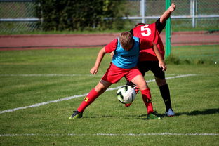 乐鱼vip 注册-南美青年锦标赛，哥伦比亚队展示青春盛宴，目标奥运门票，南美 哥伦比亚