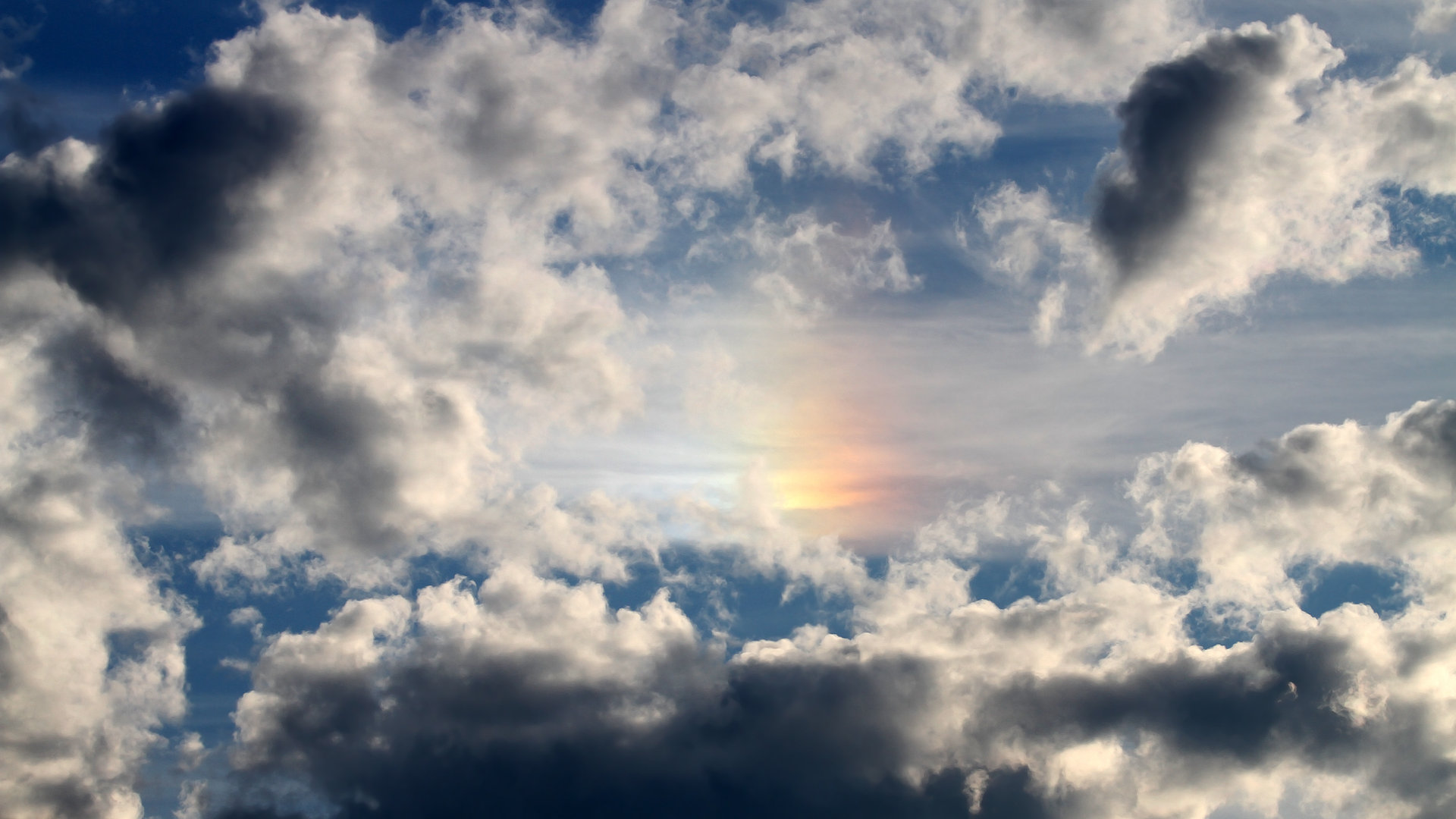 乐鱼体育网站入口-巴勒斯坦女篮在西亚锦标赛中尽力冲击奥运