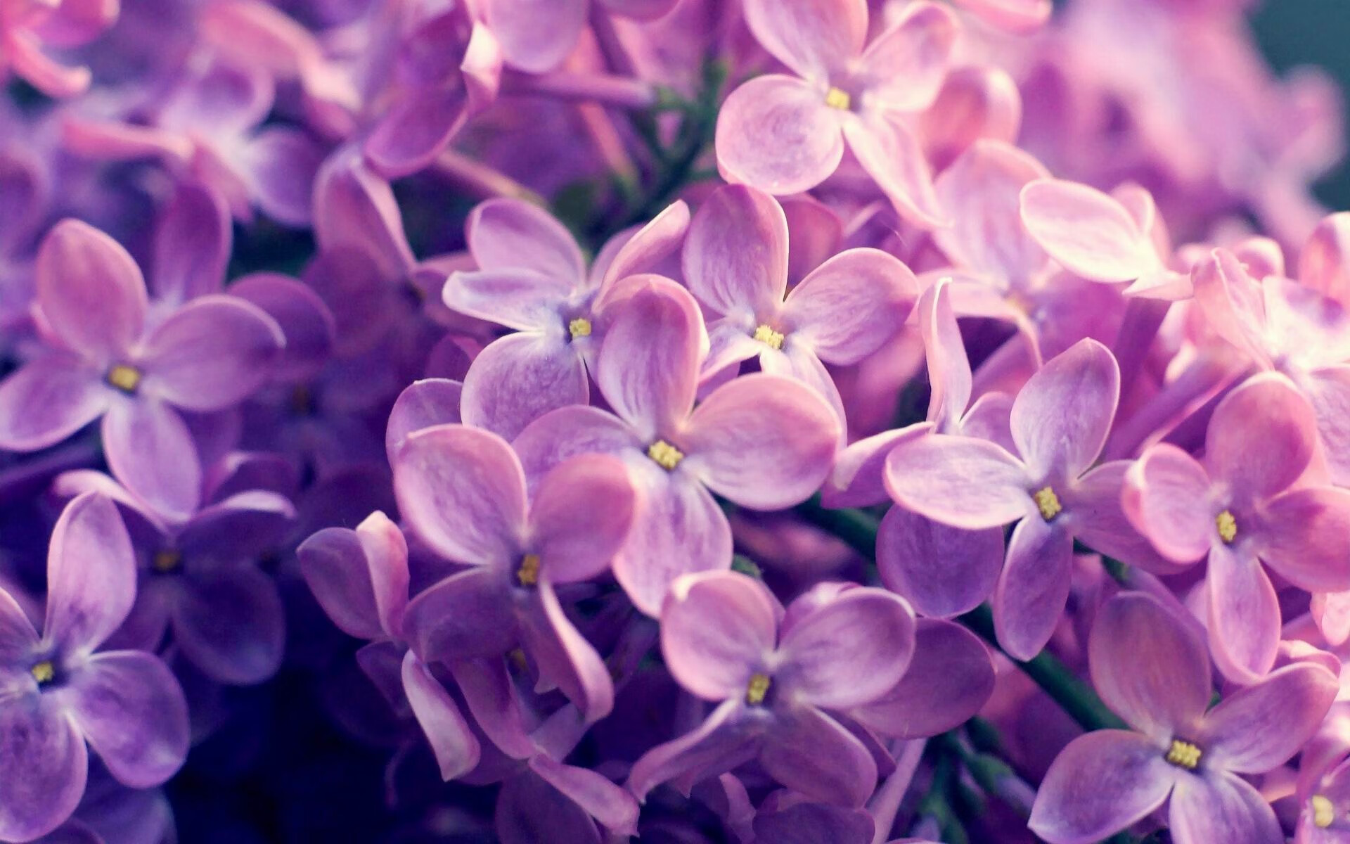 leyucom官网登录入口地址-库里在训练中加强身体对抗备战季后赛，库里训练有多刻苦