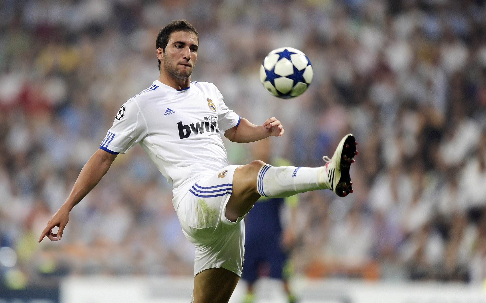 克罗地亚队在巴黎奥运会手球比赛中多次通过团队配合得分，克罗地亚奥运冠军