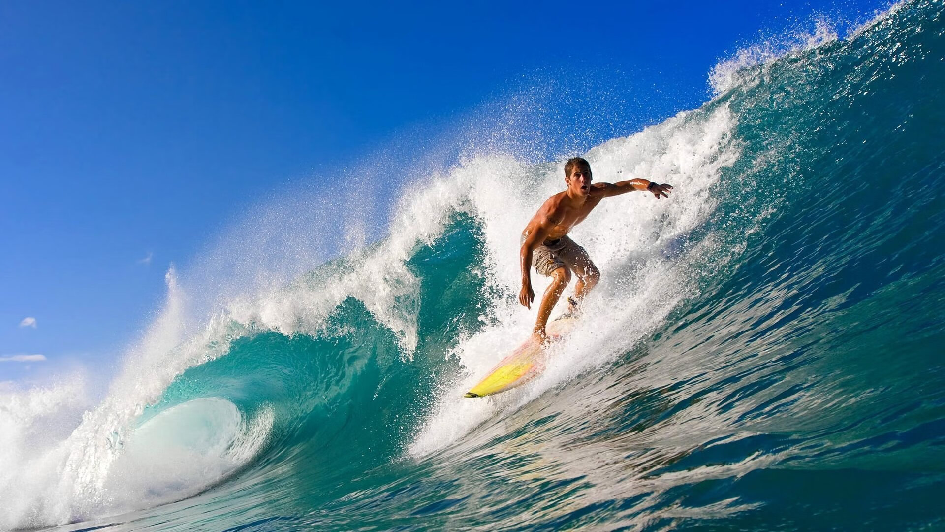 乐鱼体育手机版-德甲：汉堡3-0轻取柏林联，强队风采尽显，汉堡德甲排名