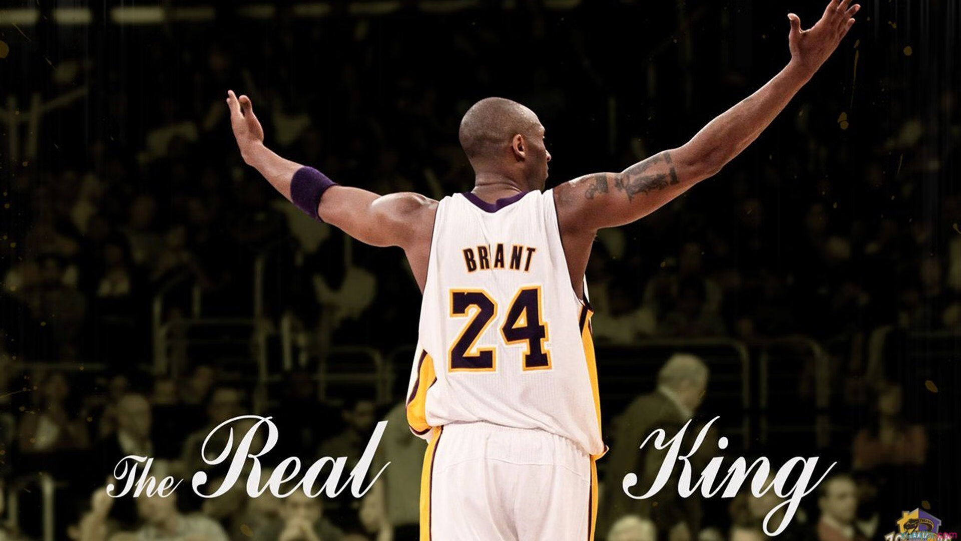 观众互动新体验:现场投票选出最喜爱球员,球星投票